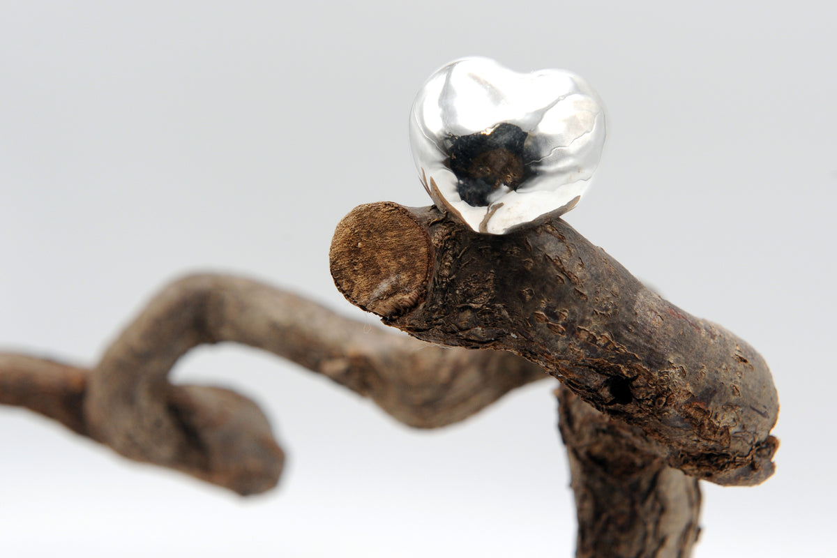 Anello NOI